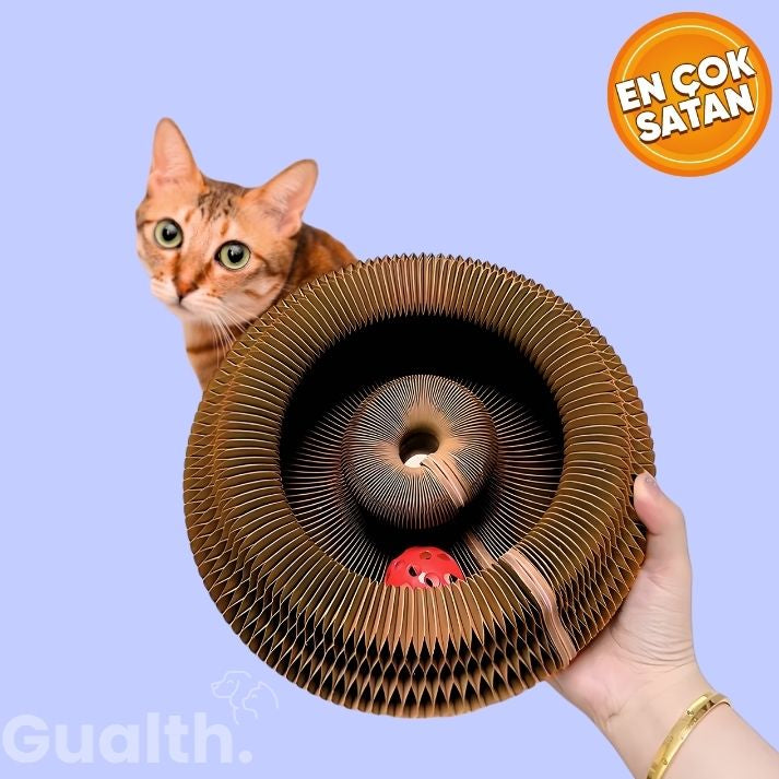 Gualth PawZone™ İnteraktif Kedi Oyuncağı