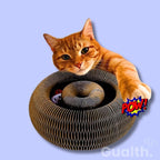 Gualth PawZone™ İnteraktif Kedi Oyuncağı