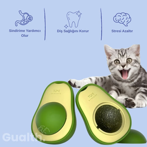 Gualth CatNip™ Kedi Nanesi