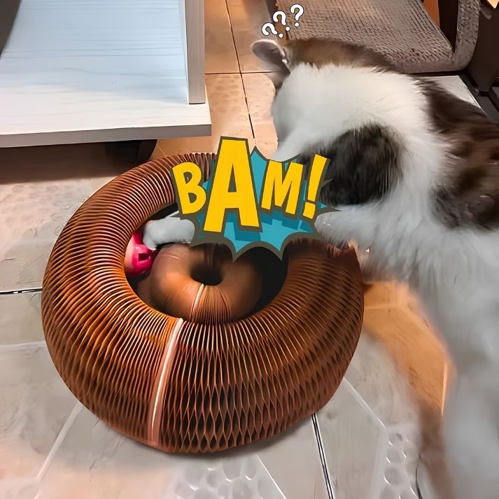 Gualth PawZone™ İnteraktif Kedi Oyuncağı