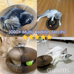Gualth PawZone™ İnteraktif Kedi Oyuncağı